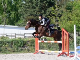 IMG_0633_web